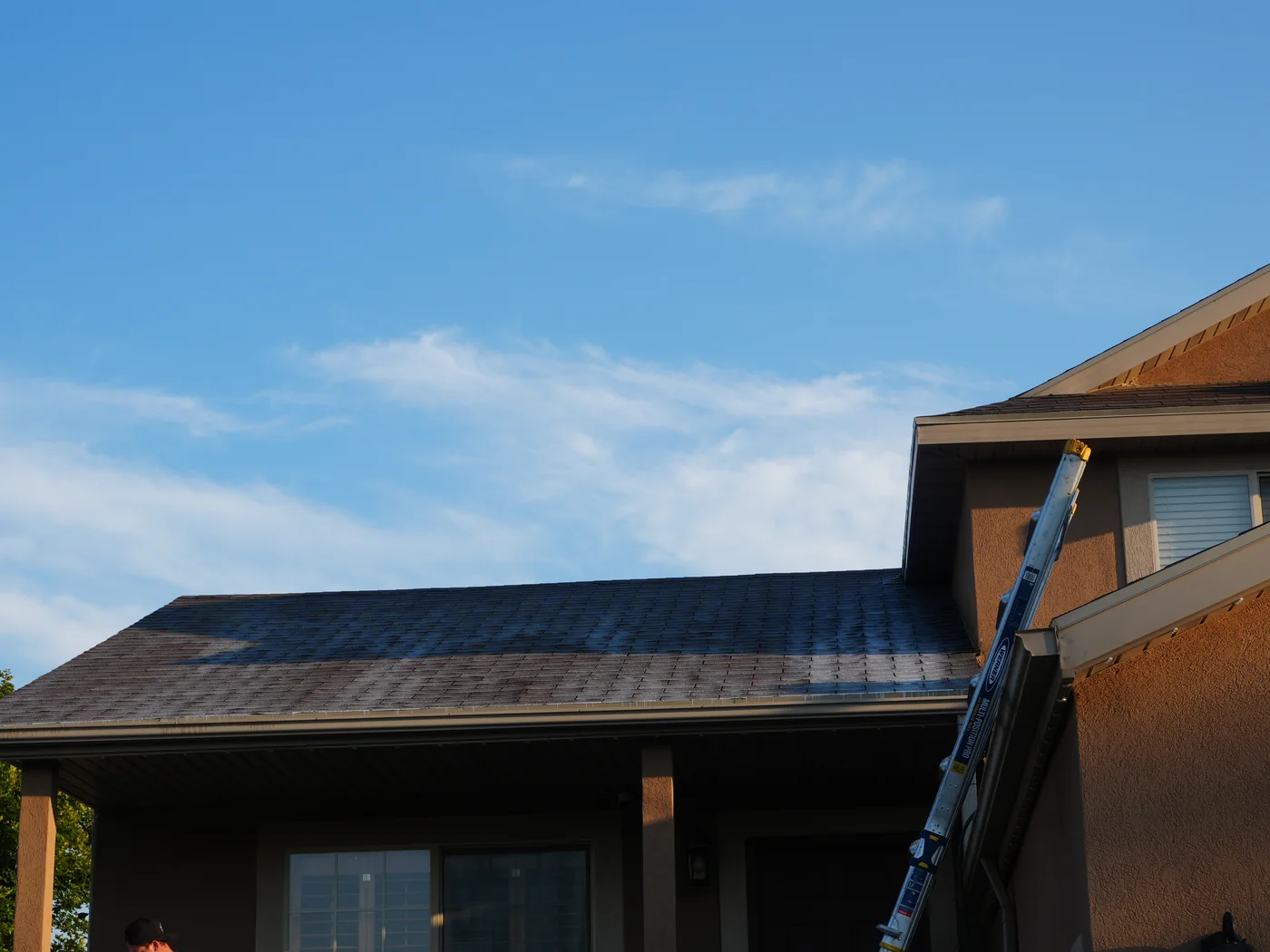Treated asphalt shingle roof surface on a Revive Your Roof job in Utah