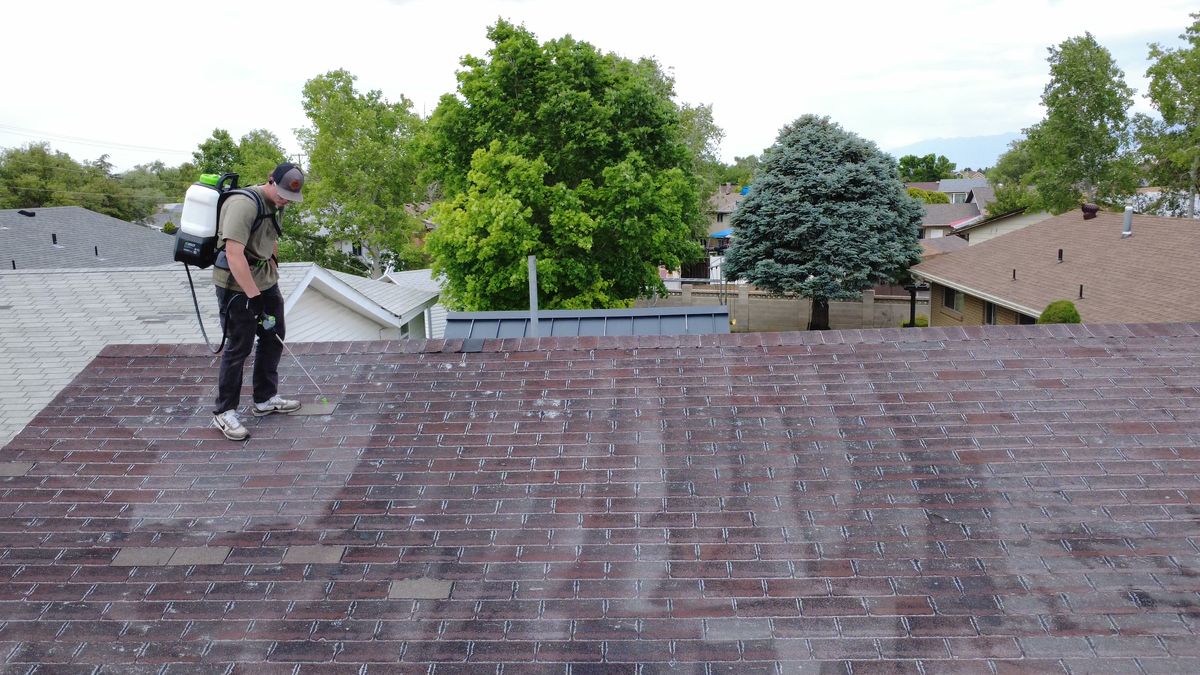 Technician spraying plant-based roof treatment on a grey shingle roof in Utah