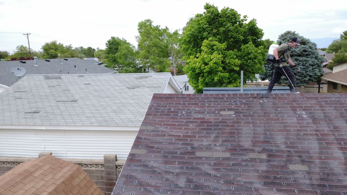 Revive Your Roof technician treating a weathered asphalt shingle roof in Utah