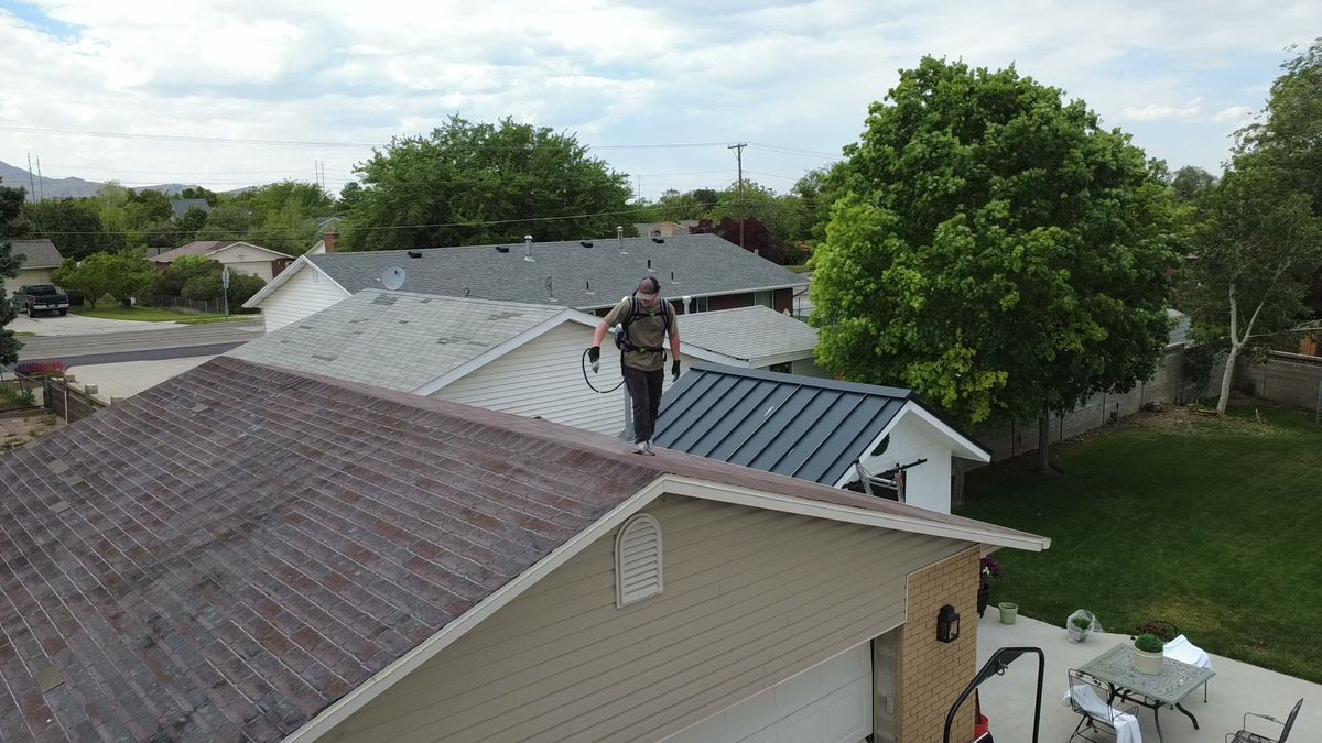 Revive Your Roof technician working across a grey shingle roof with a backpack sprayer, on a Wasatch Front home in Utah