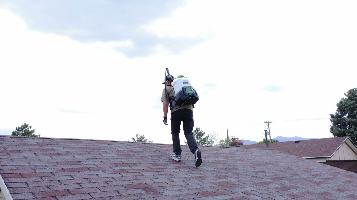 Revive Your Roof technician walking the ridge of a red shingle roof with a backpack sprayer