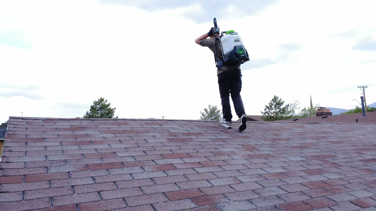 Revive Your Roof technician walking the ridge of a red asphalt shingle roof with a backpack sprayer, on a Wasatch Front home in Utah