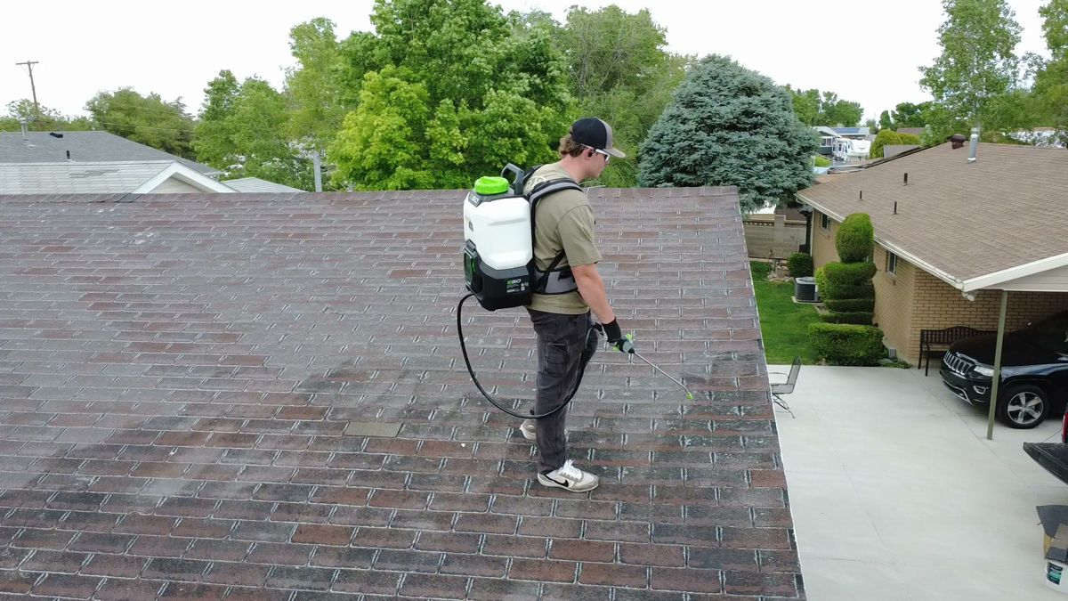 Revive Your Roof technician walking a Utah roof during a restoration treatment