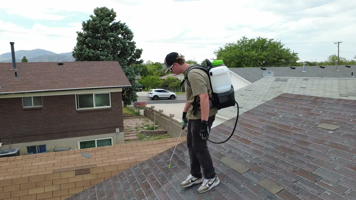 Technician crossing a treated roof slope during a job
