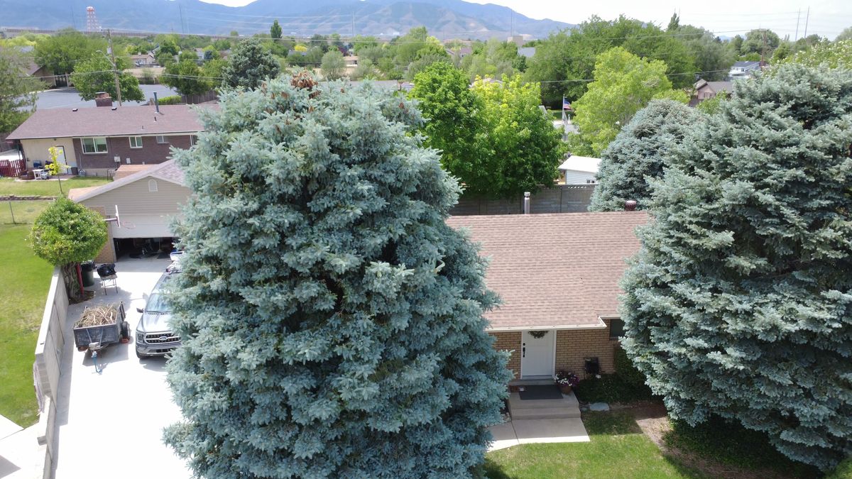 Aerial view of a Wasatch Front neighborhood with the mountains behind